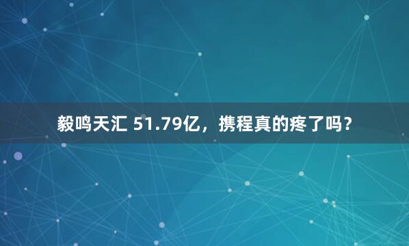 毅鸣天汇 51.79亿，携程真的疼了吗？